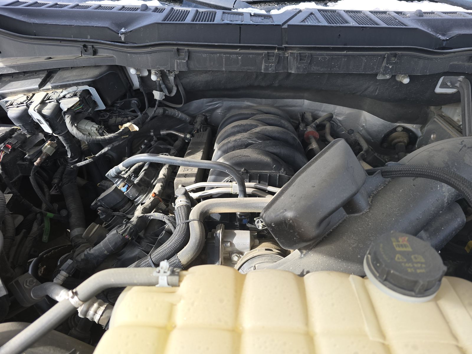 2024 Ford F-150 XLT AWD