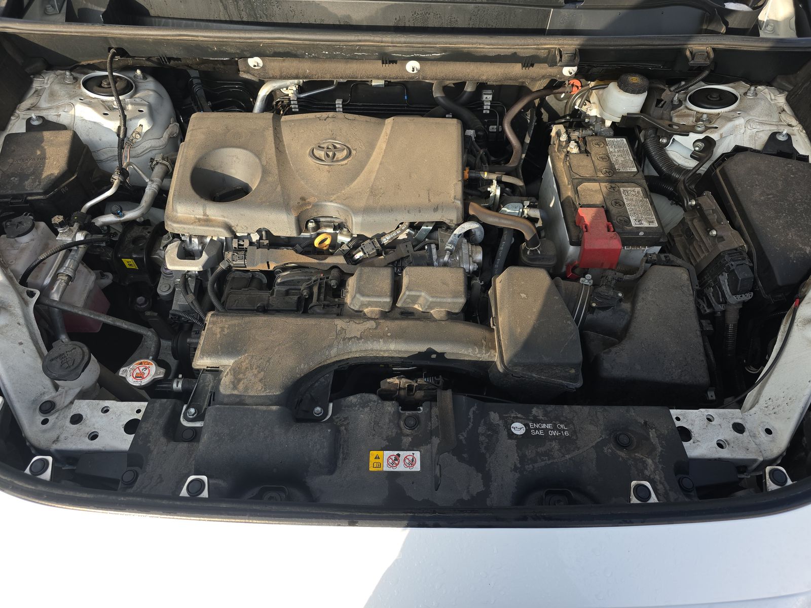 2024 Toyota RAV4 XLE AWD