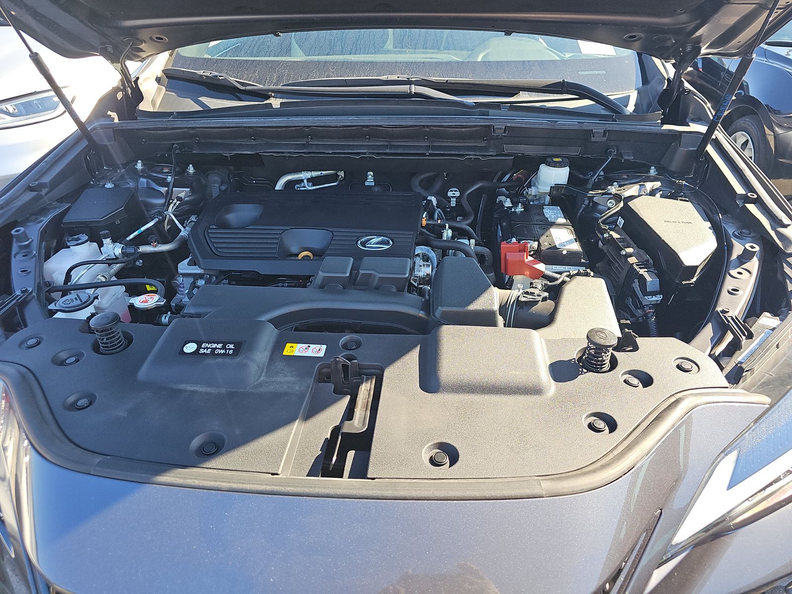 2023 Lexus NX NX 250 FWD