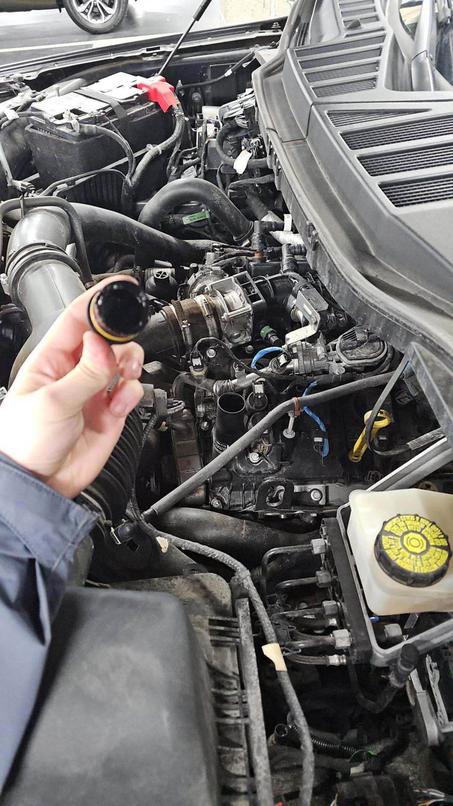 2023 Ford F-150 XLT AWD