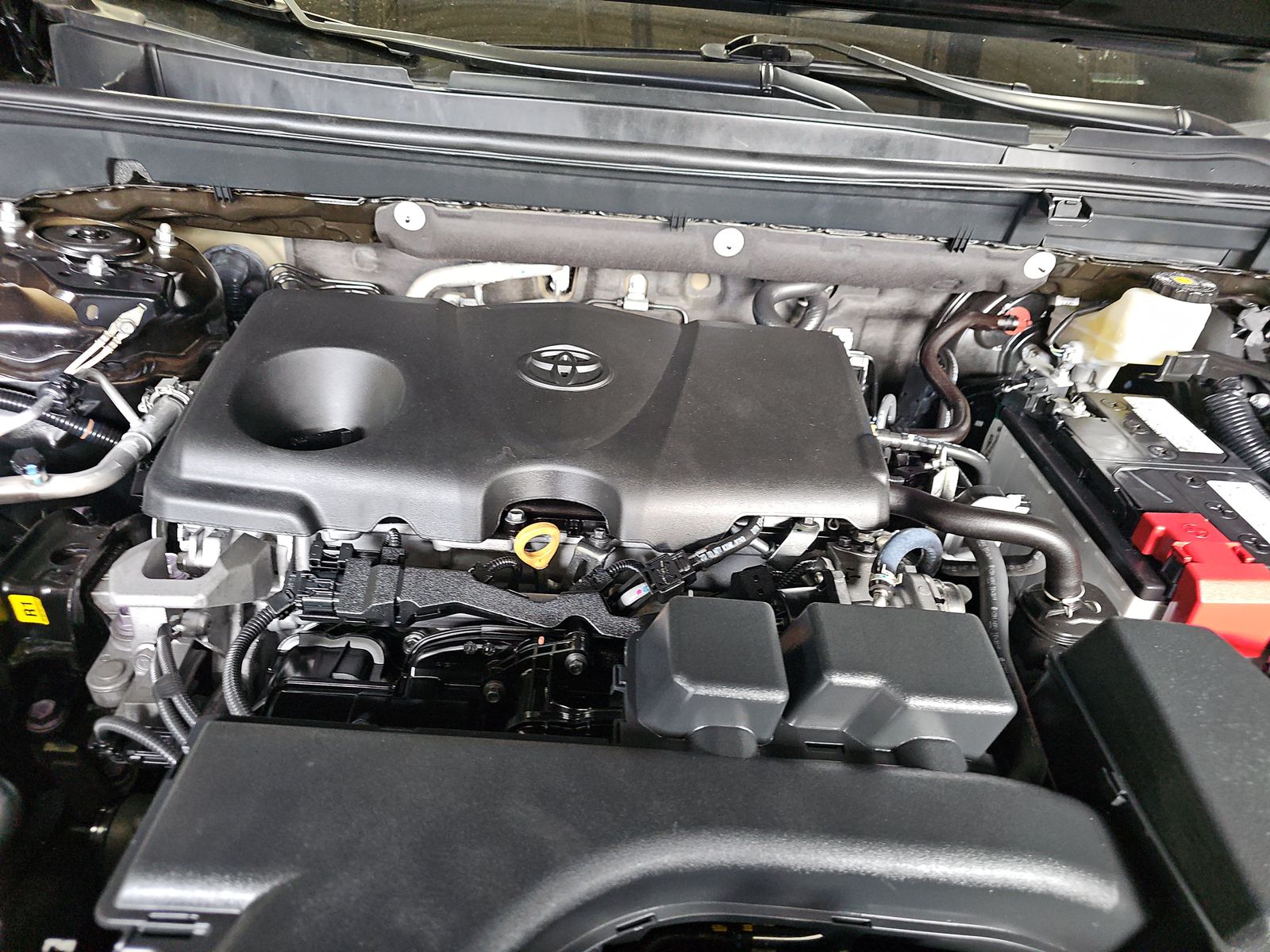 2023 Toyota RAV4 XLE FWD