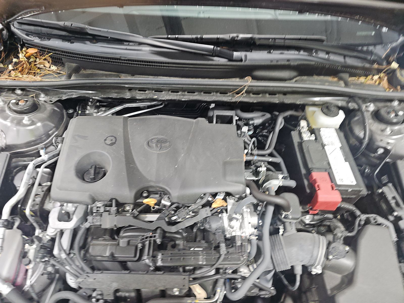 2024 Toyota Camry XLE AWD