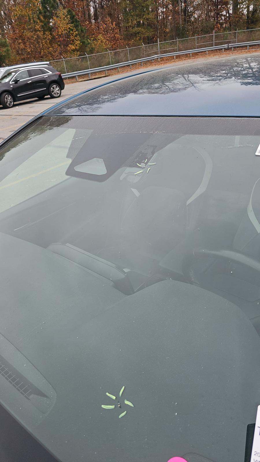 2025 Toyota Camry SE FWD