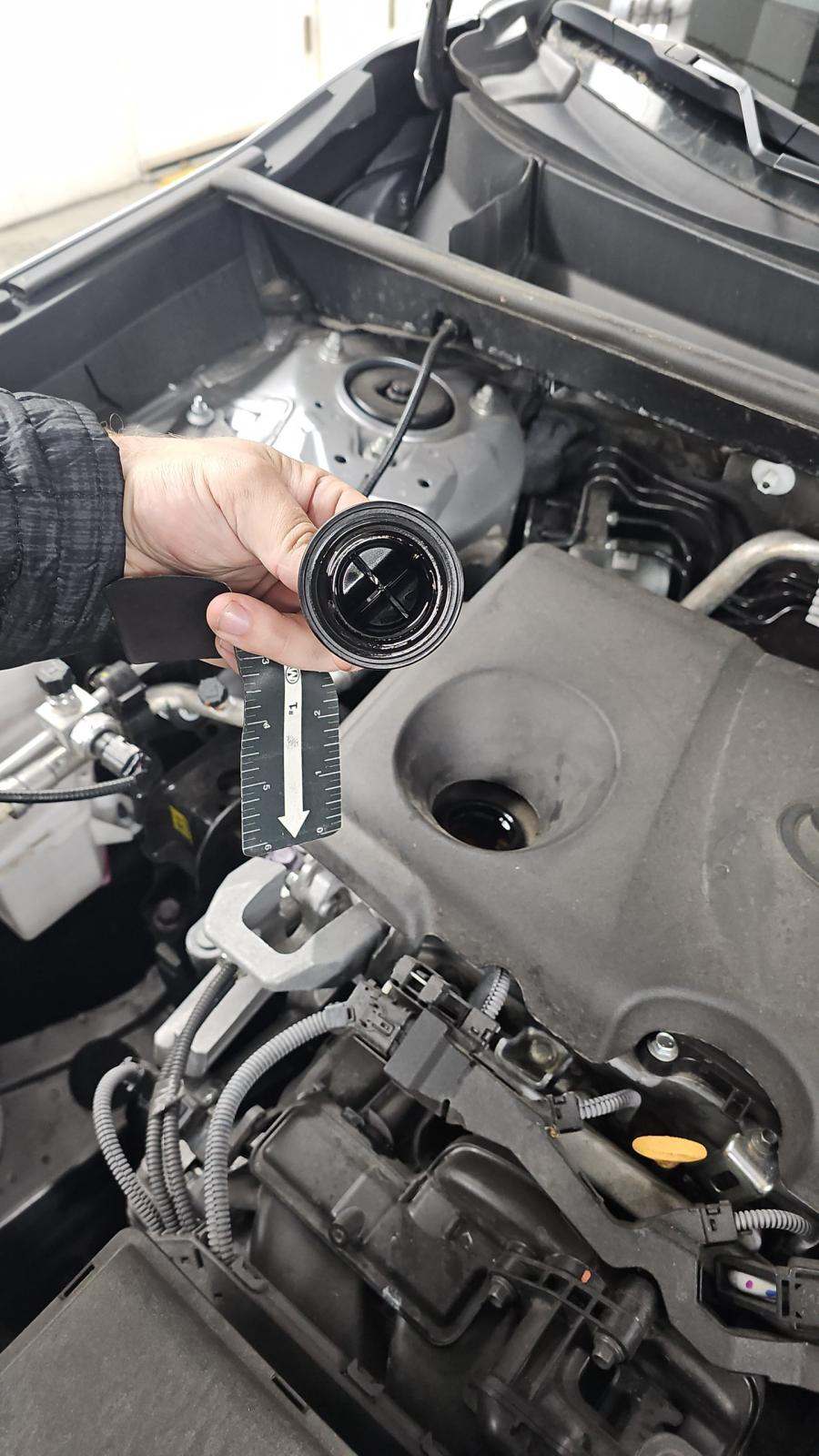 2024 Toyota RAV4 XLE AWD