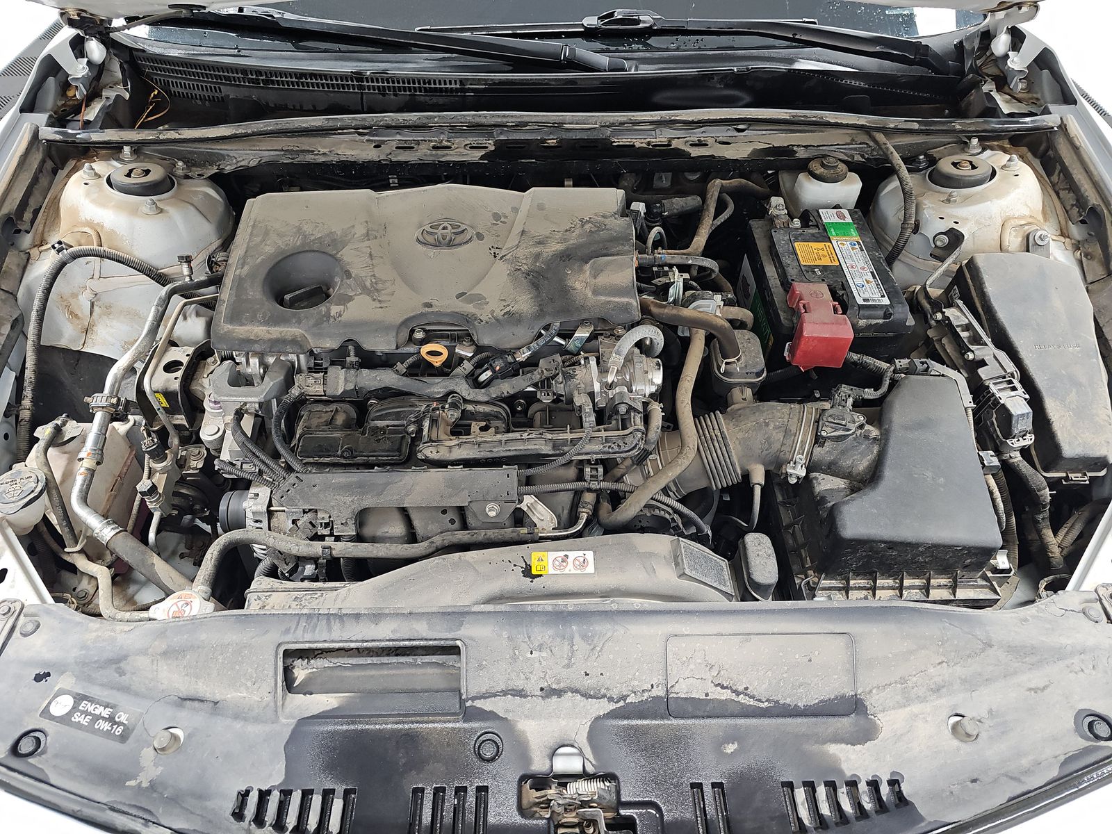 2023 Toyota Camry SE FWD