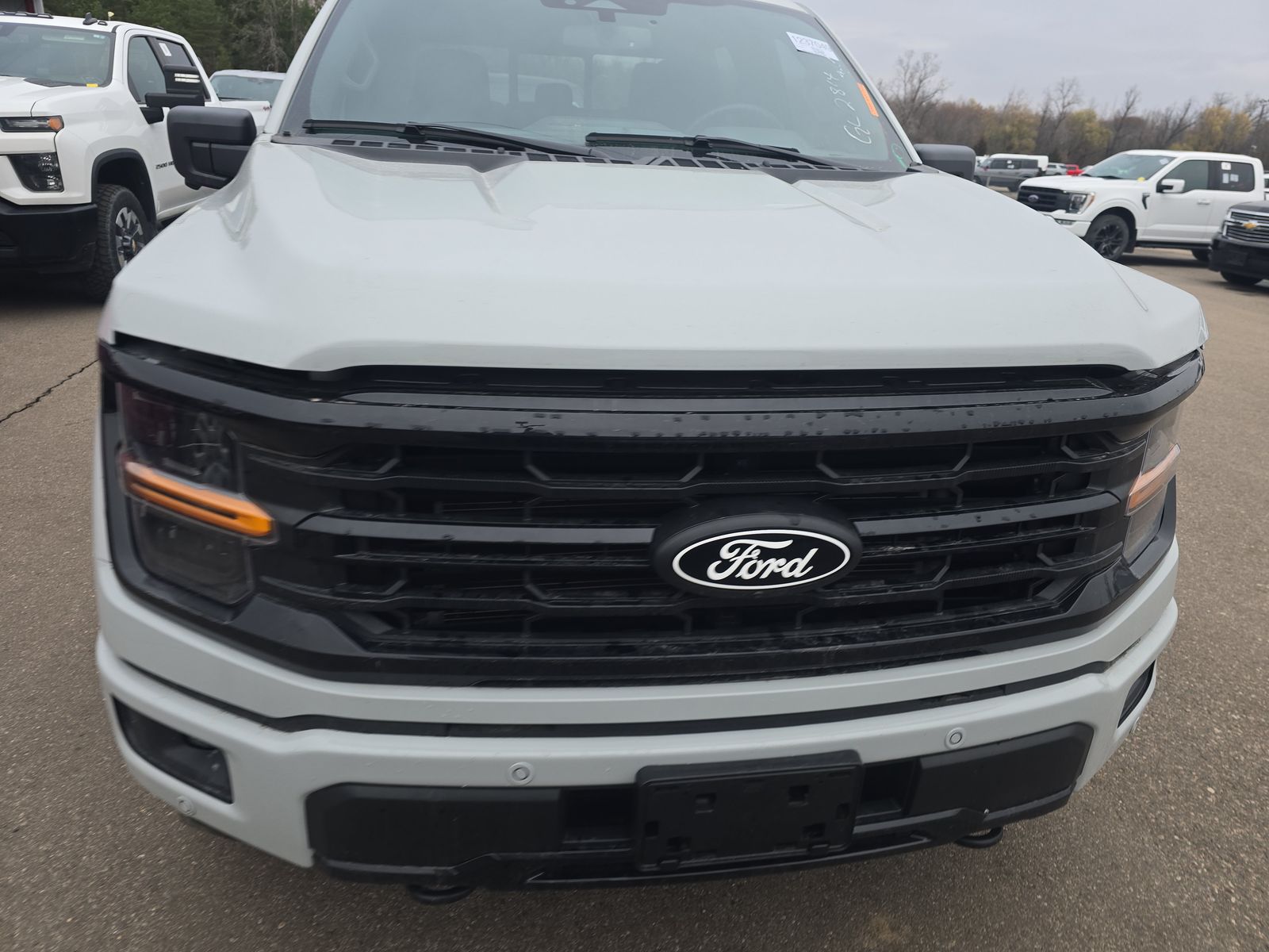 2024 Ford F-150 XLT AWD