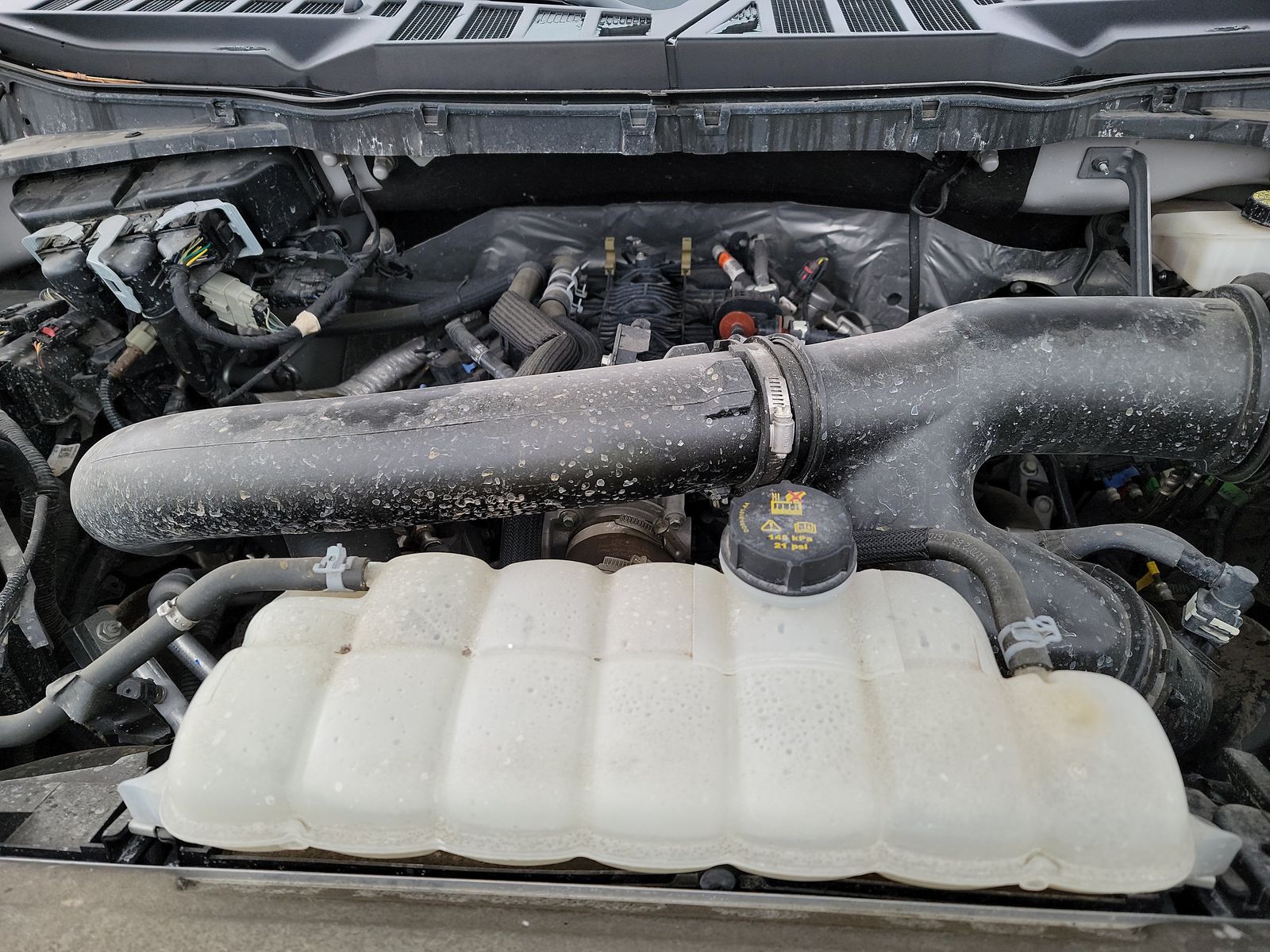 2024 Ford F-150 XLT AWD