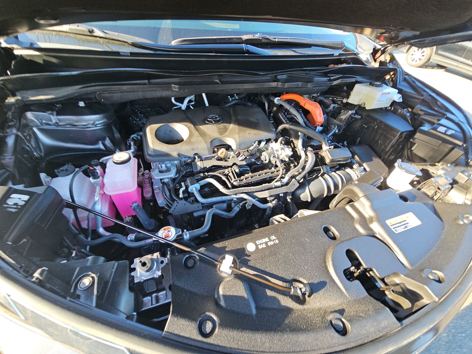 2024 Toyota Sienna XLE AWD