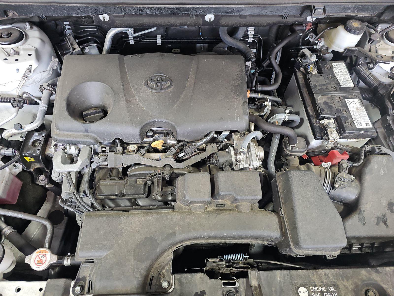 2023 Toyota RAV4 LE AWD