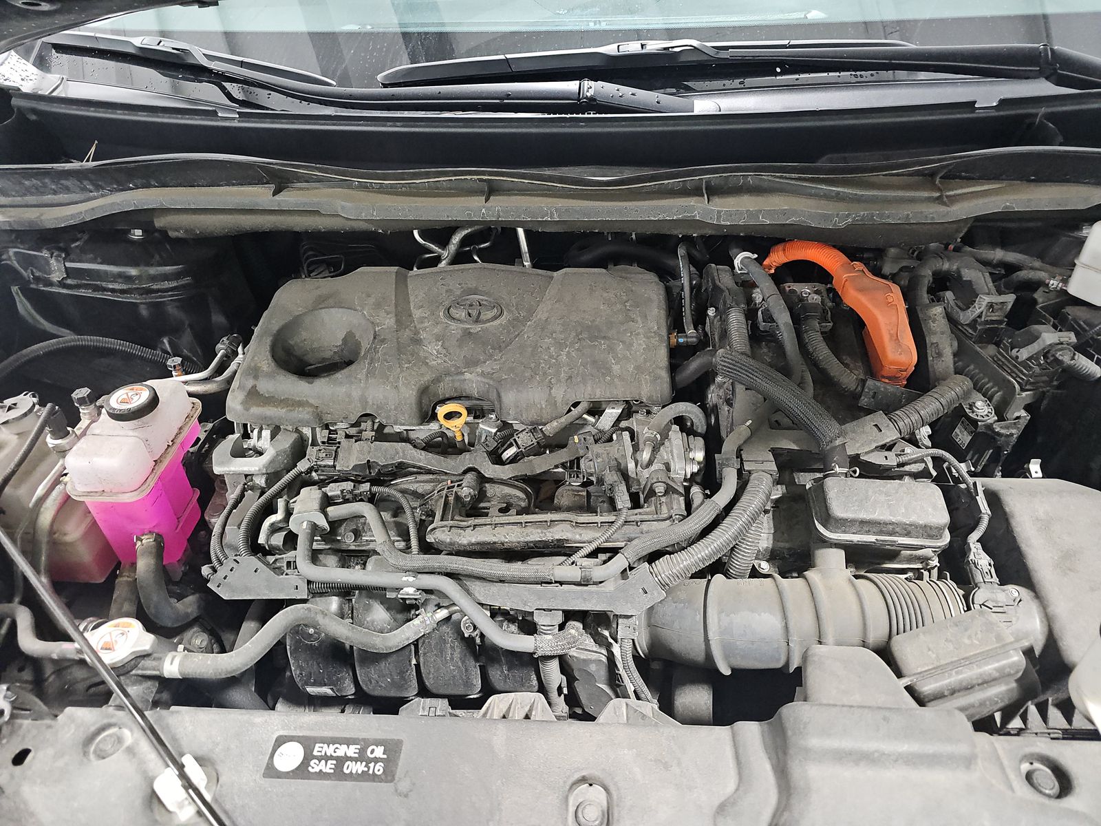 2024 Toyota Sienna Limited AWD