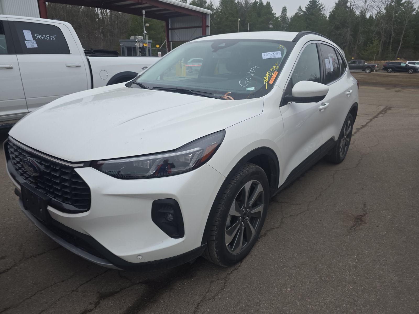 2024 Ford Escape Platinum AWD