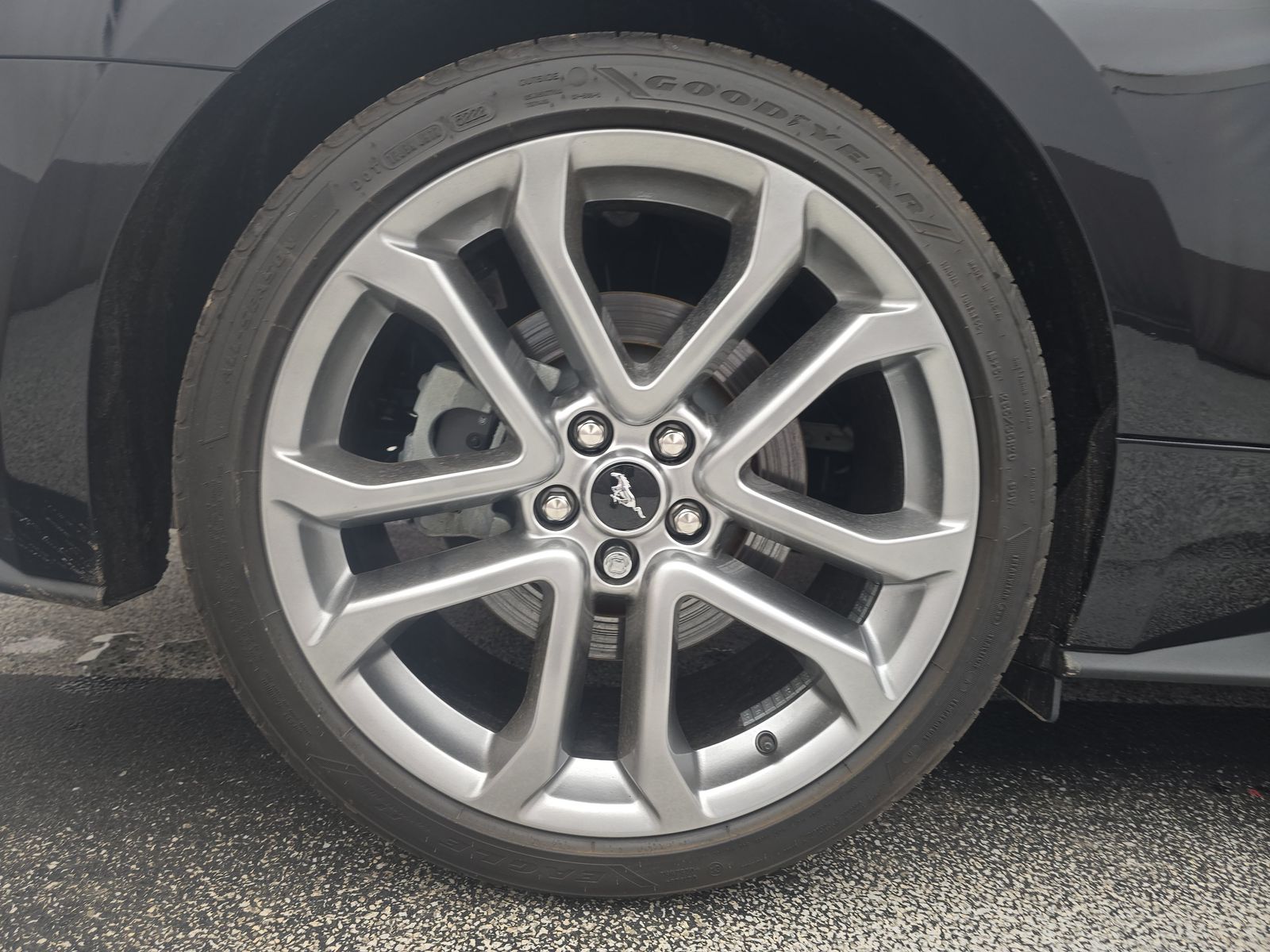 2023 Ford Mustang GT Premium RWD