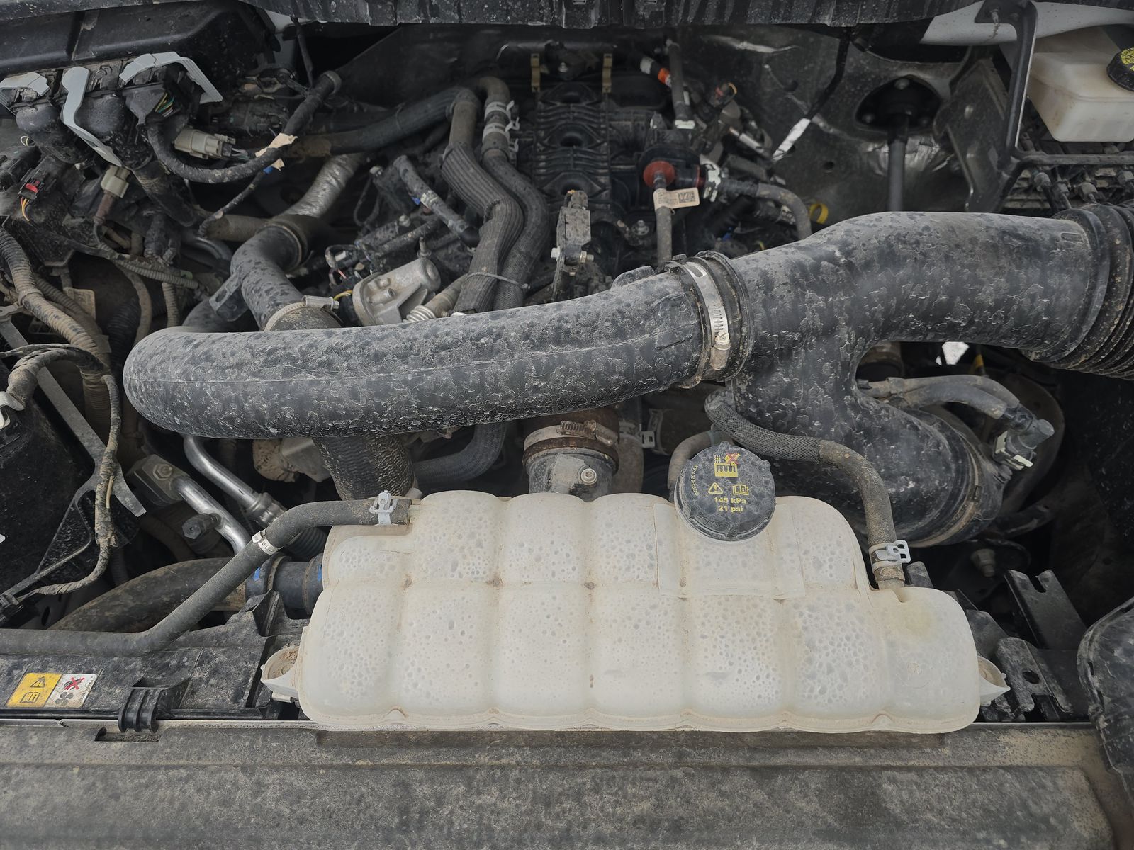 2024 Ford F-150 XLT AWD