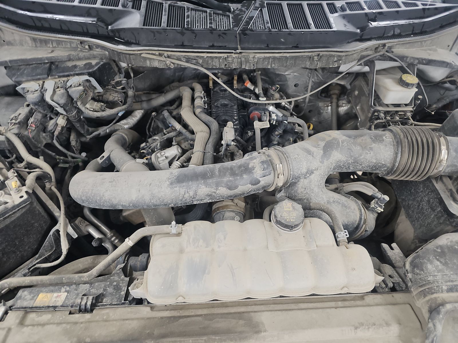 2024 Ford F-150 XLT AWD