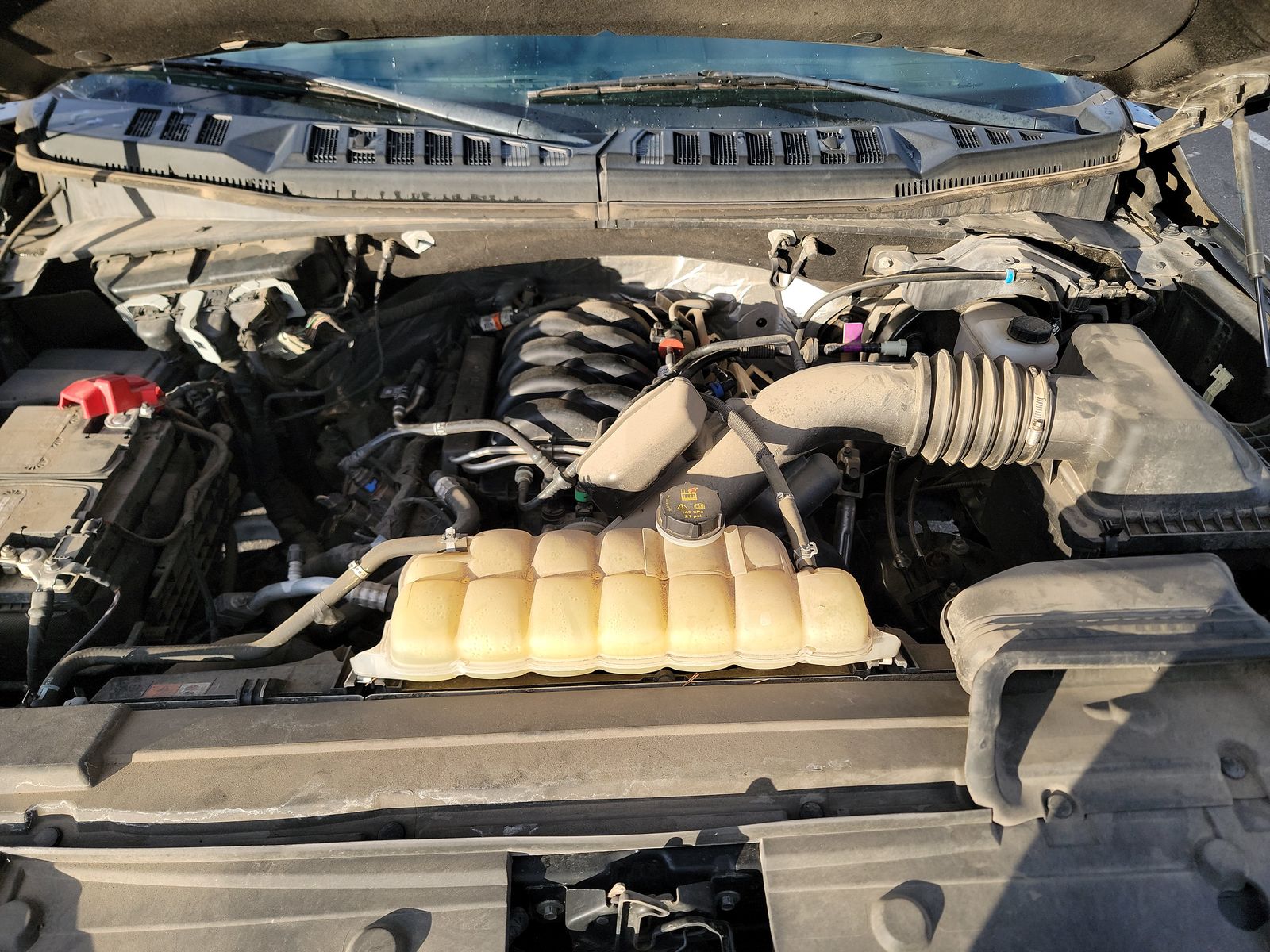 2019 Ford F-150 XLT AWD