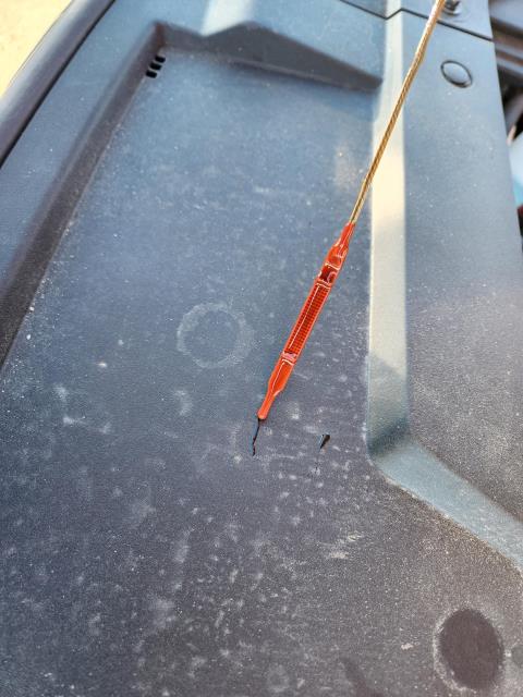 2025 Hyundai Santa Fe SEL FWD