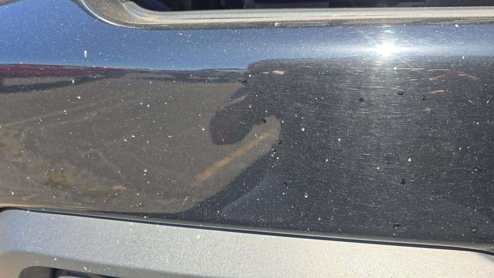 2022 Chevrolet Silverado 1500 Custom Trail Boss AWD