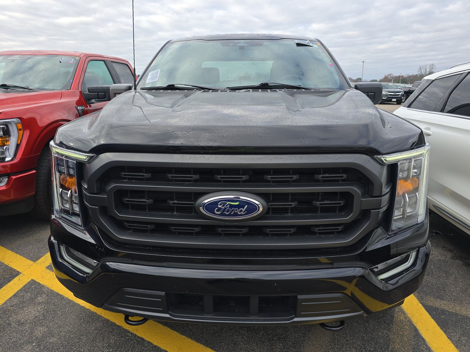 2023 Ford F-150 XLT AWD