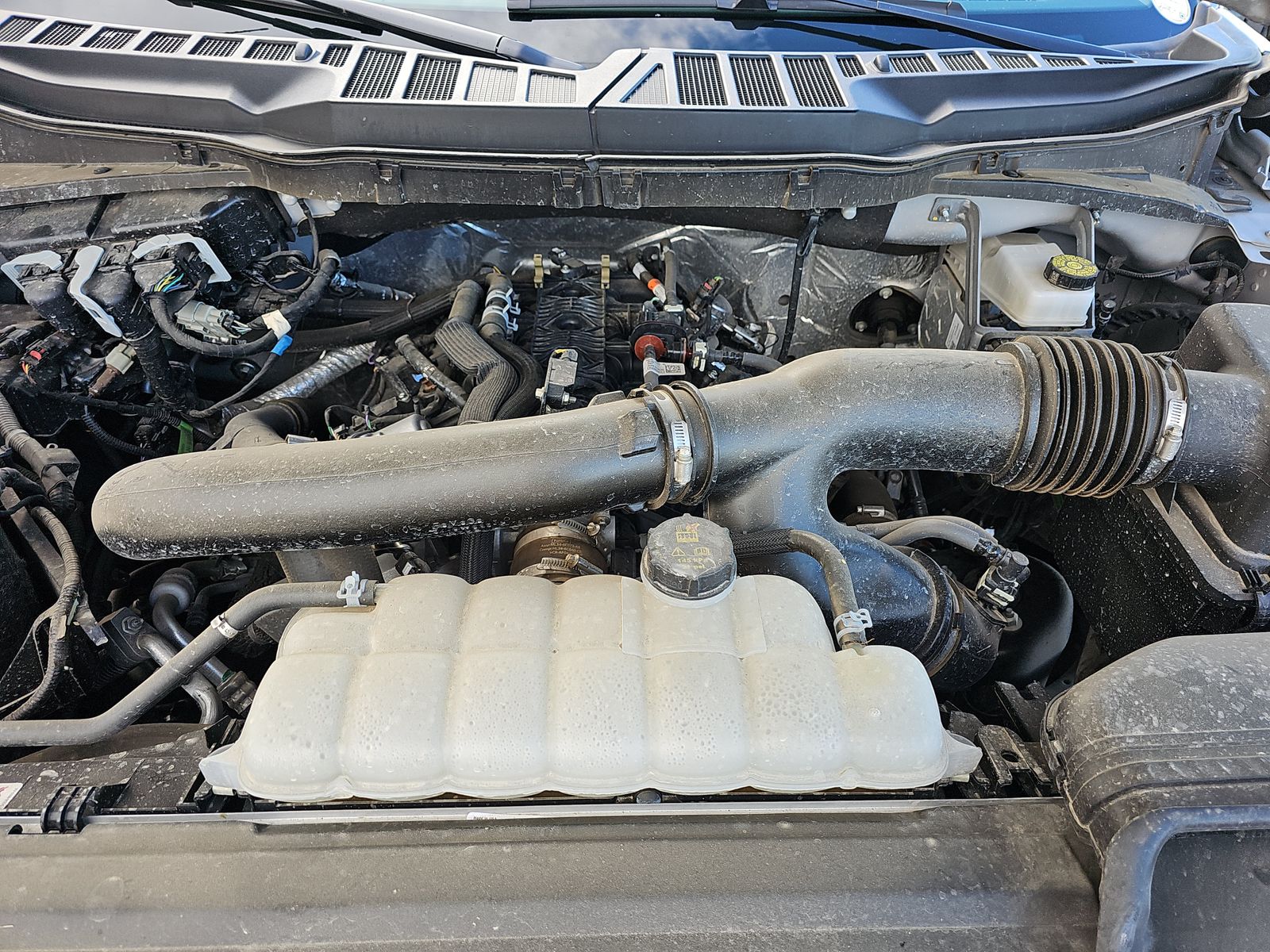 2025 Ford F-150 XLT AWD