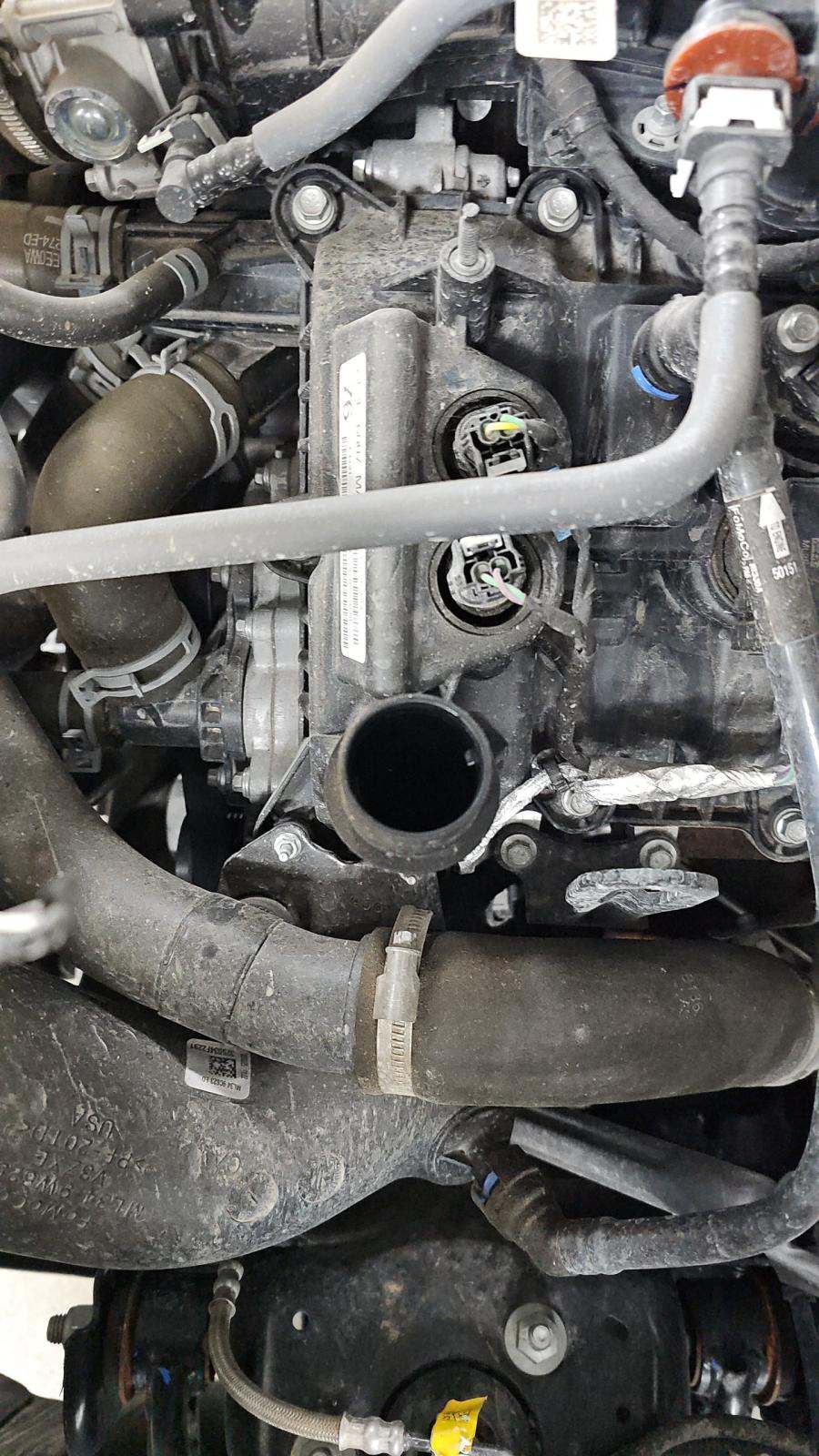 2025 Ford F-150 XLT AWD