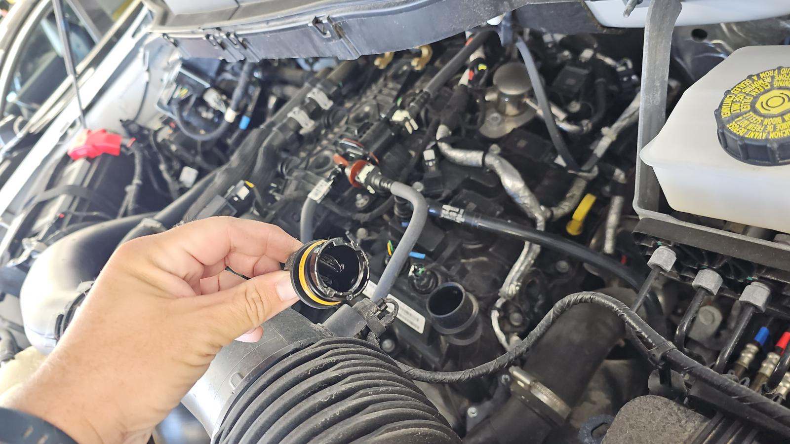 2024 Ford F-150 XLT AWD