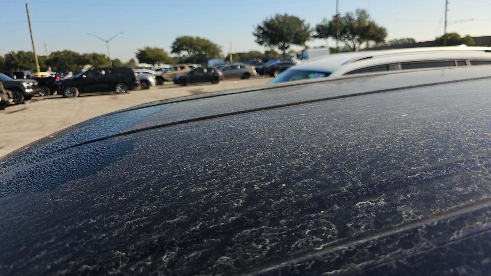 2019 Land Rover Discovery Sport SE AWD