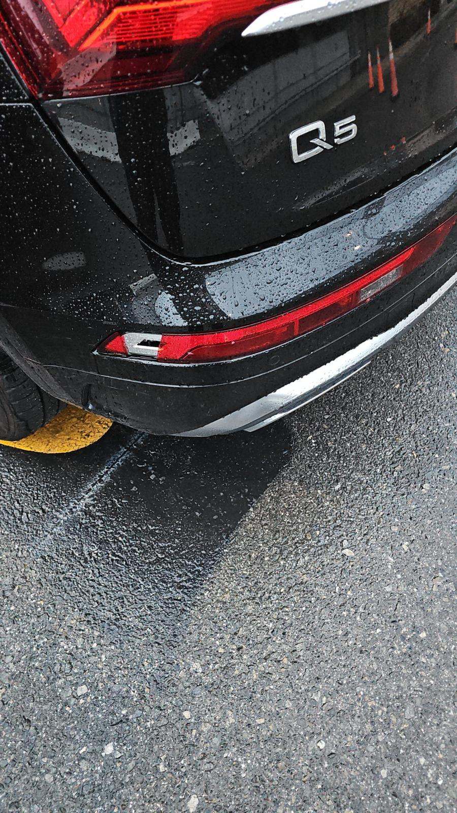 2022 Audi Q5 S line Premium Plus AWD