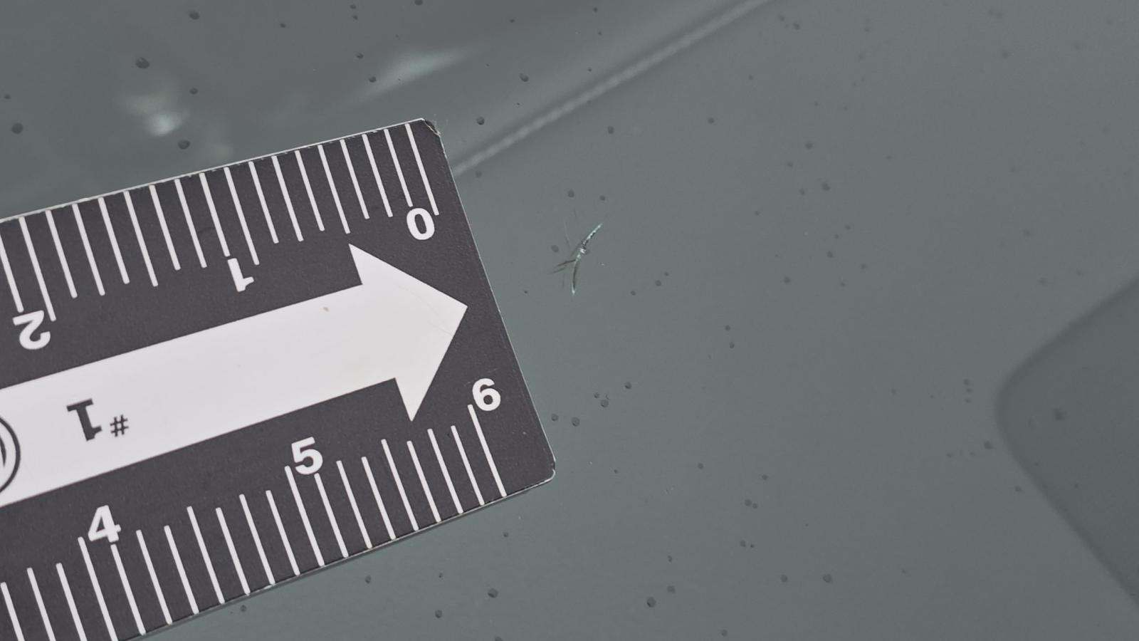 2019 Lexus GS GS 350 F SPORT AWD