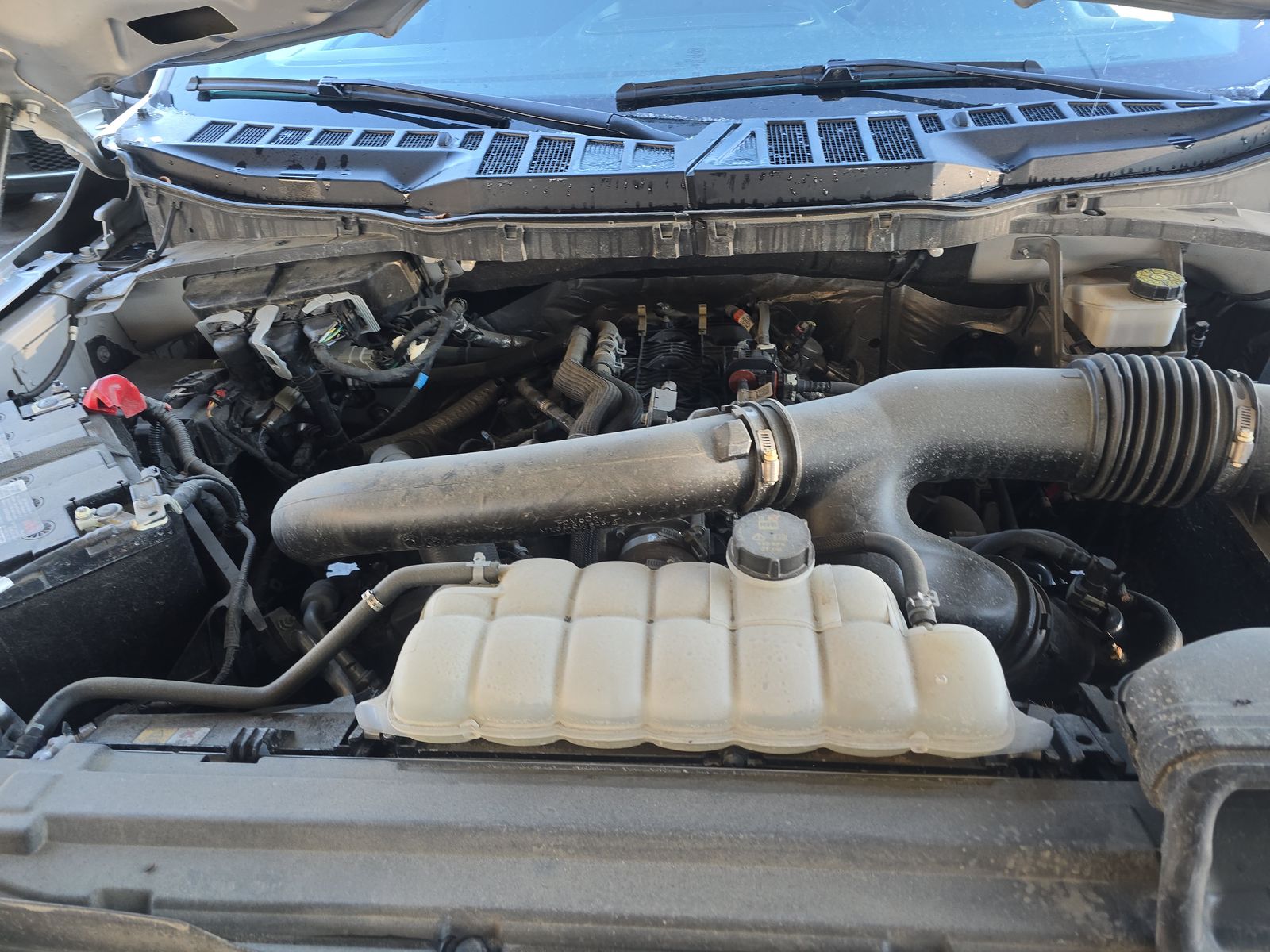 2024 Ford F-150 XLT AWD