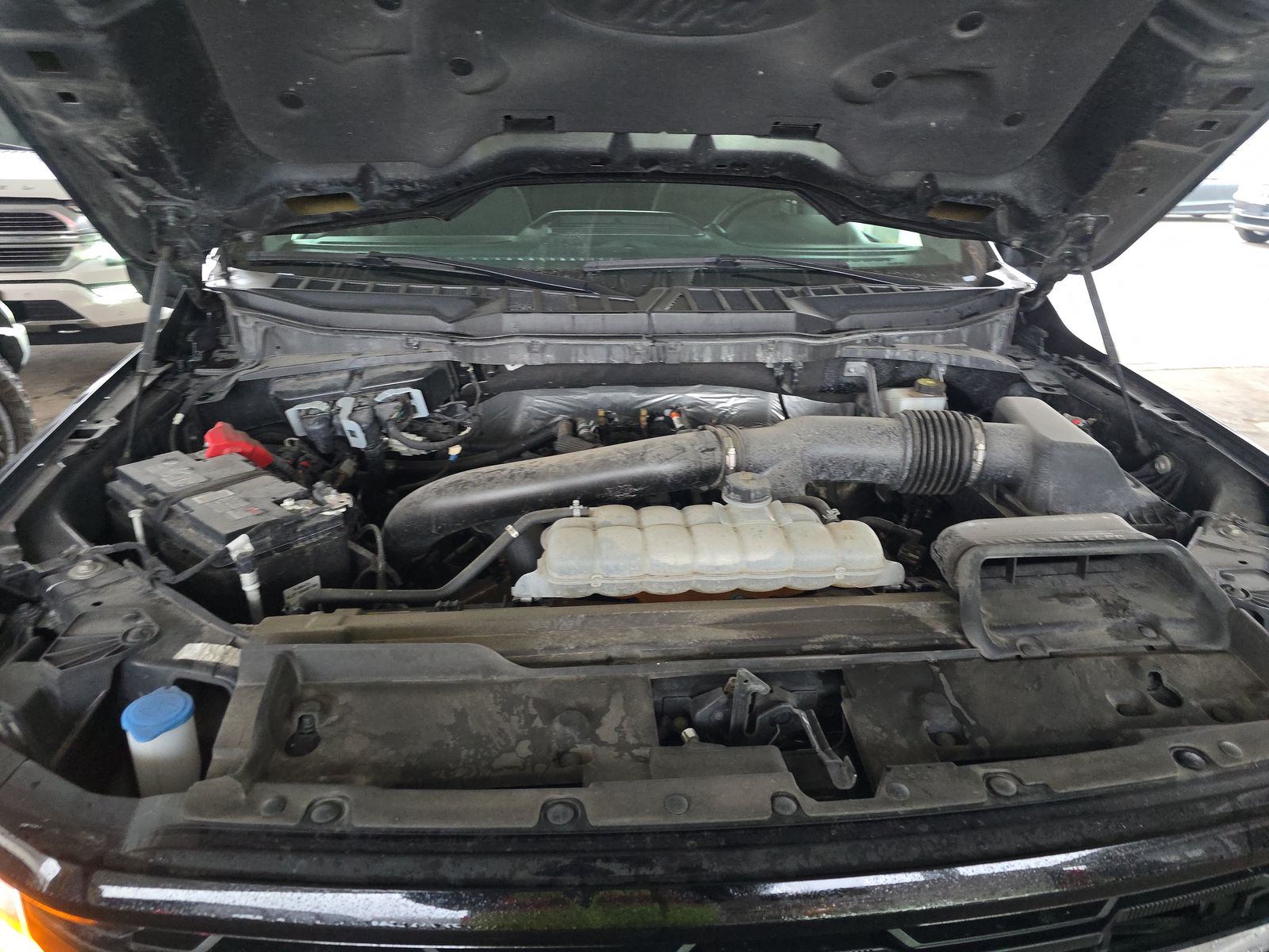 2024 Ford F-150 XLT AWD