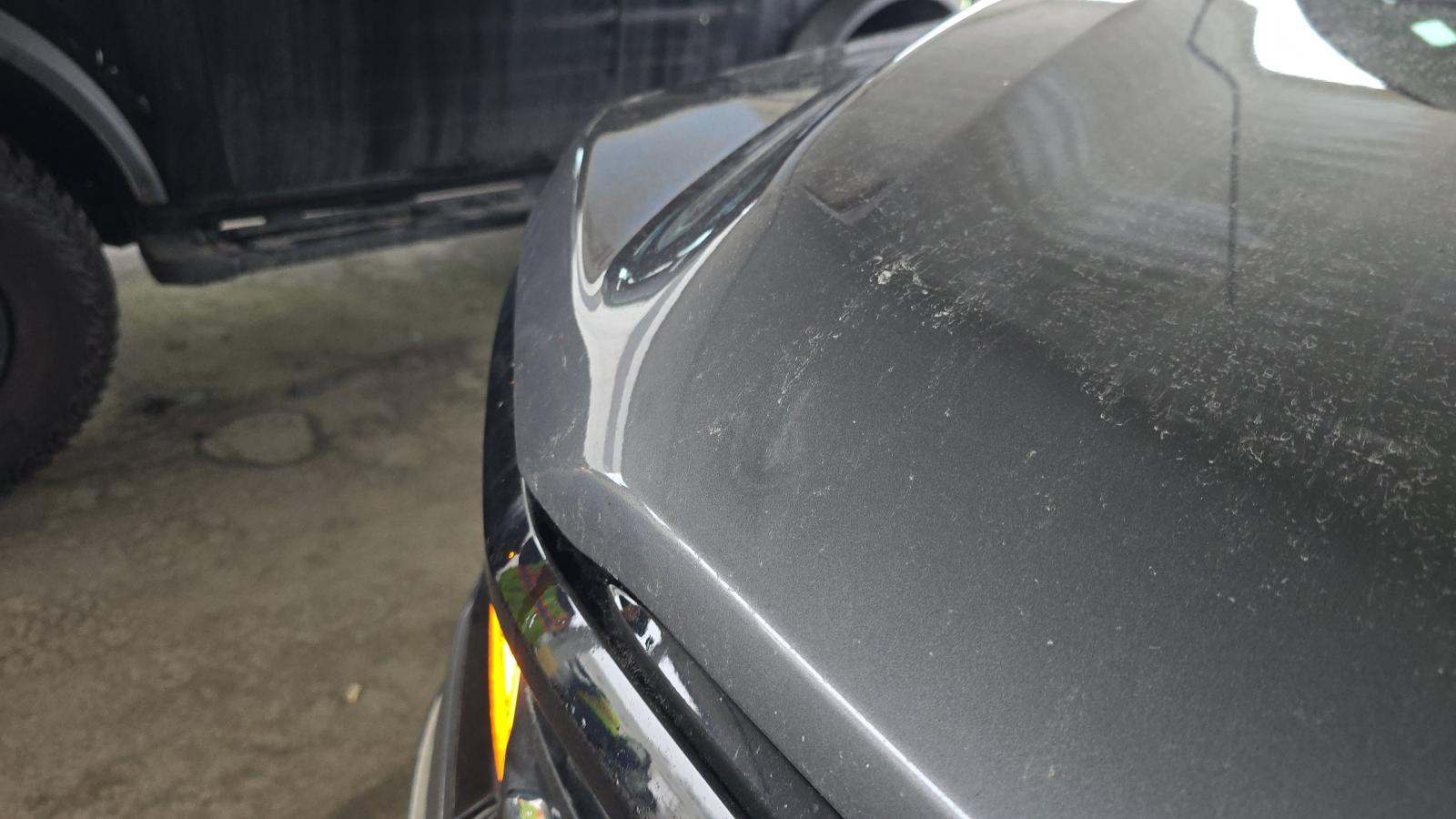 2024 Ford F-150 XLT AWD