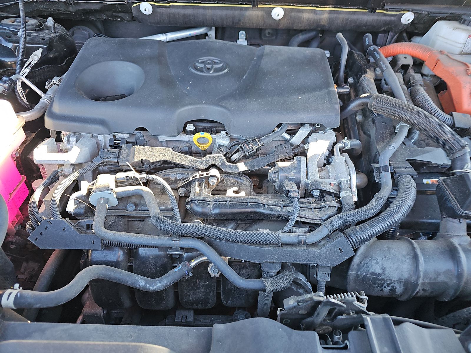 2022 Toyota Venza LE AWD