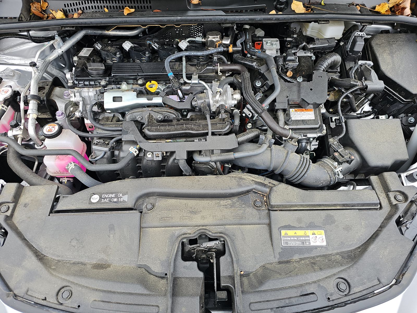 2024 Toyota Prius XLE FWD