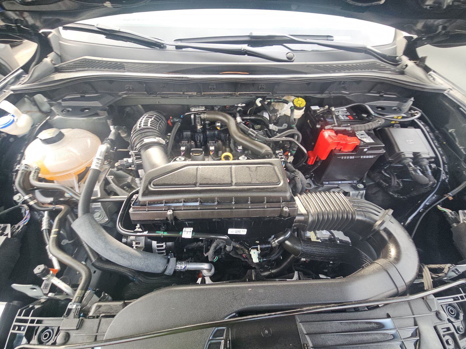 2023 Ford Escape ST-Line AWD