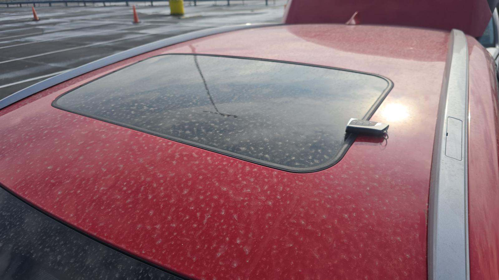 2025 Lexus NX NX 350 AWD