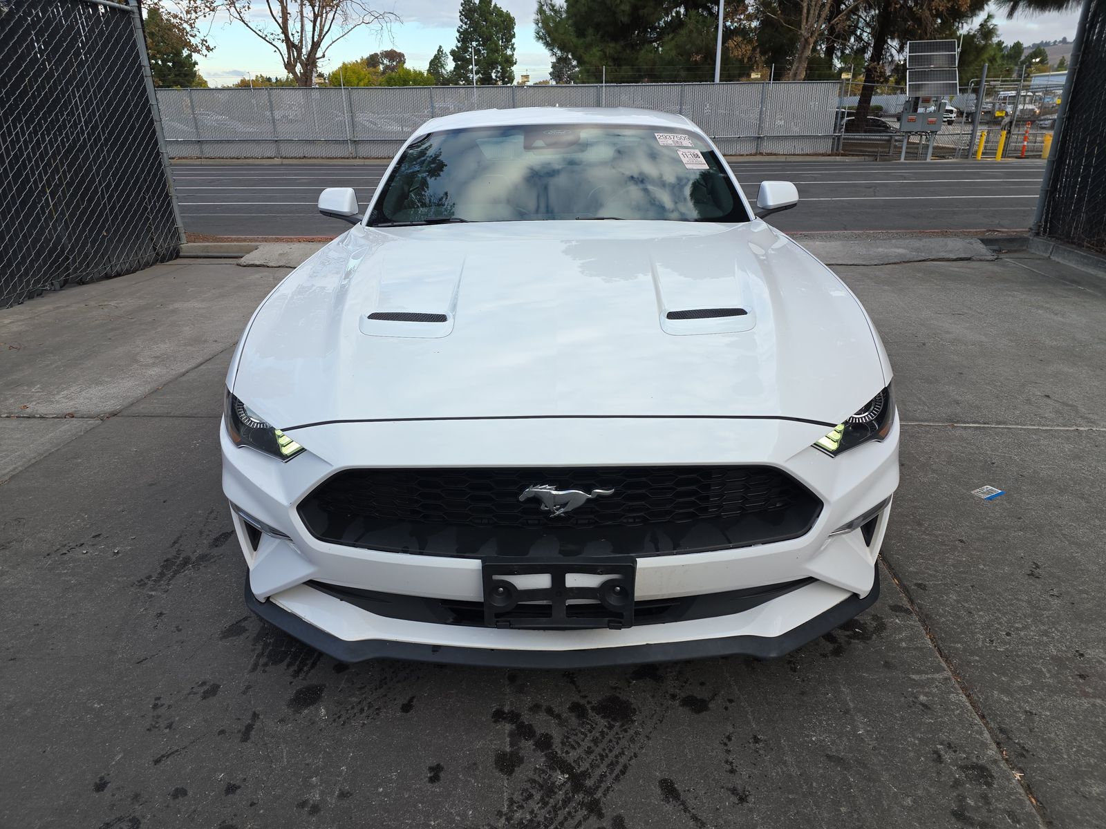 2023 Ford Mustang EcoBoost Premium RWD
