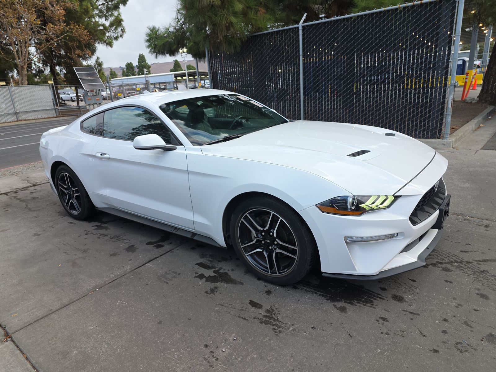 2023 Ford Mustang EcoBoost Premium RWD