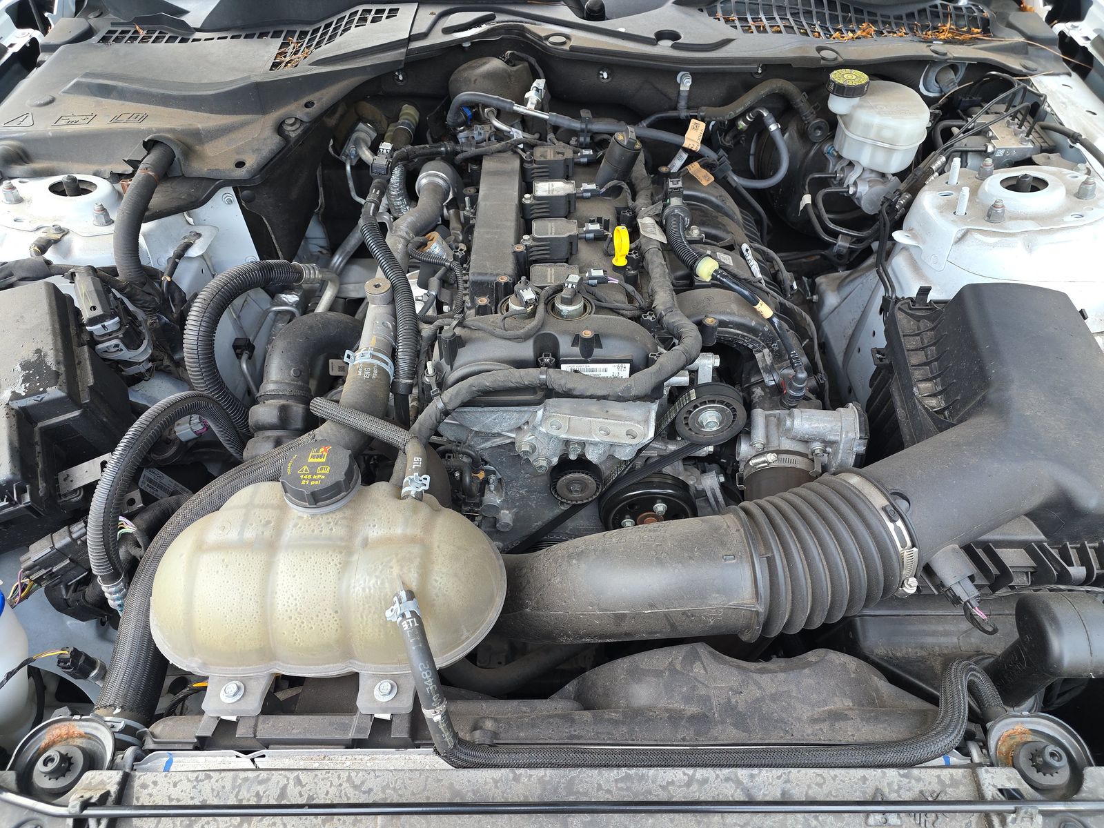 2023 Ford Mustang EcoBoost Premium RWD