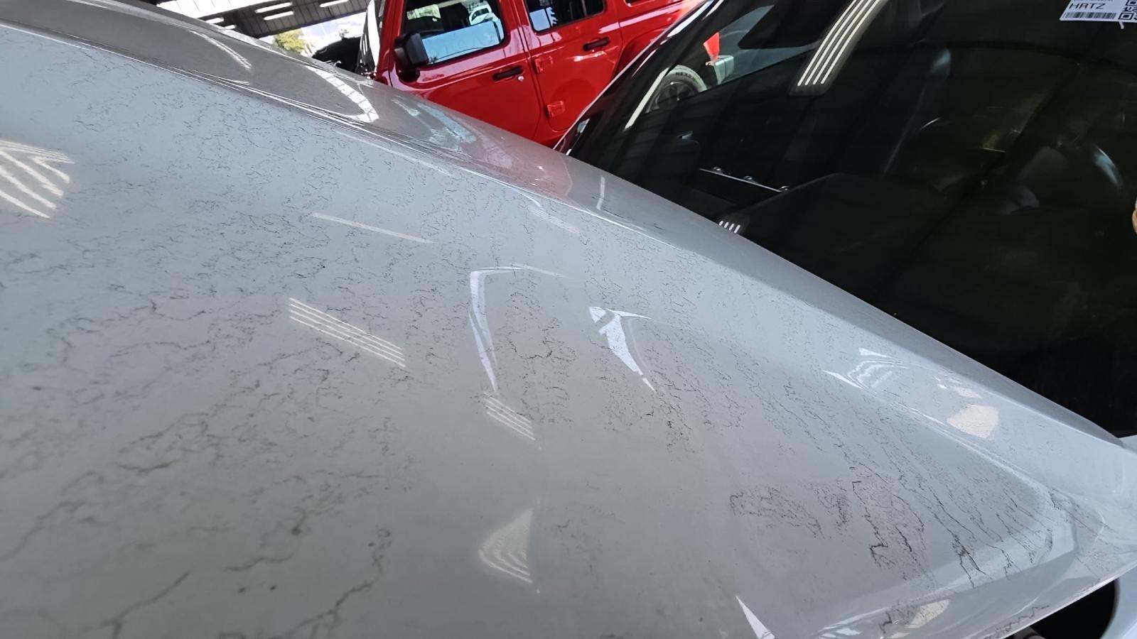 2023 Ford Mustang EcoBoost Premium RWD