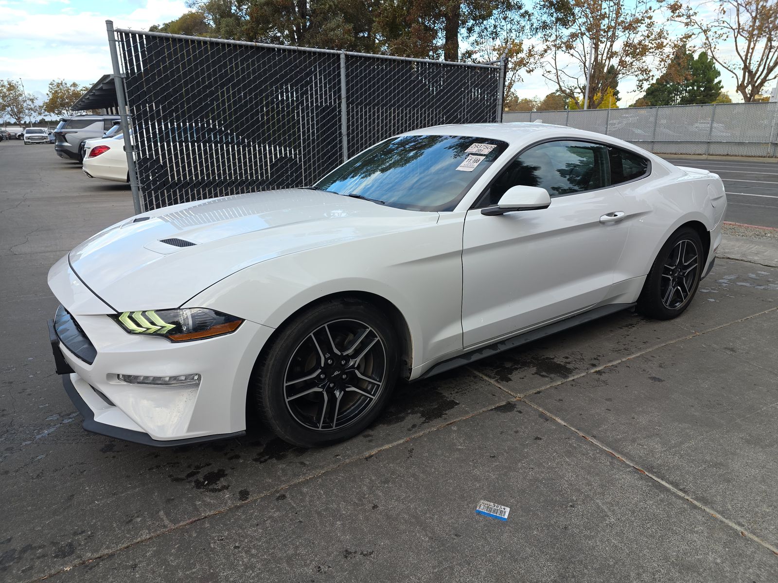 2023 Ford Mustang EcoBoost Premium RWD