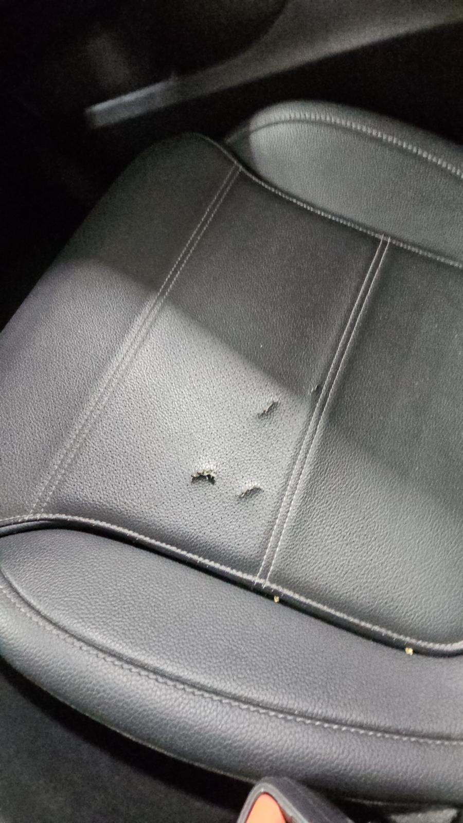 2024 Mercedes-Benz C-Class C 300 RWD