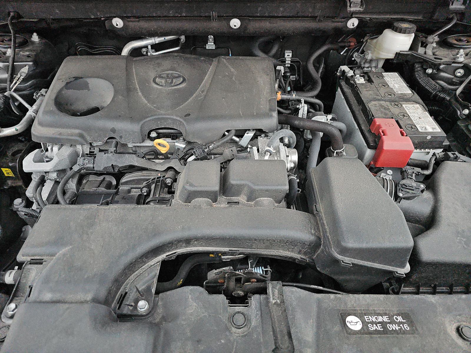 2024 Toyota RAV4 XLE AWD