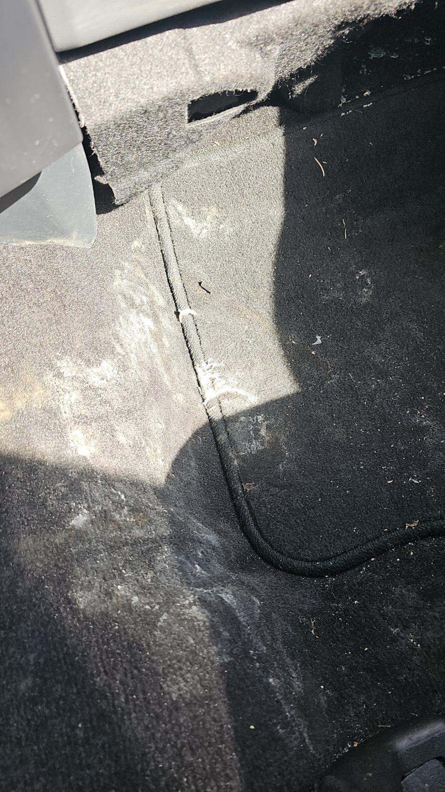 2022 Ford F-150 XLT RWD