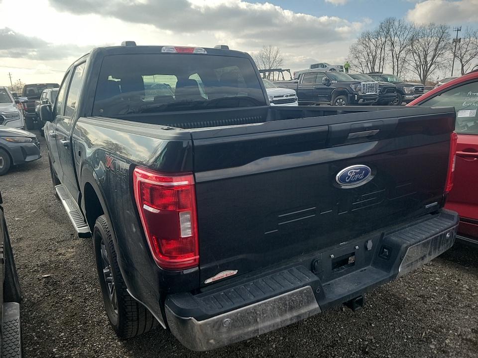 2023 Ford F-150 XLT AWD