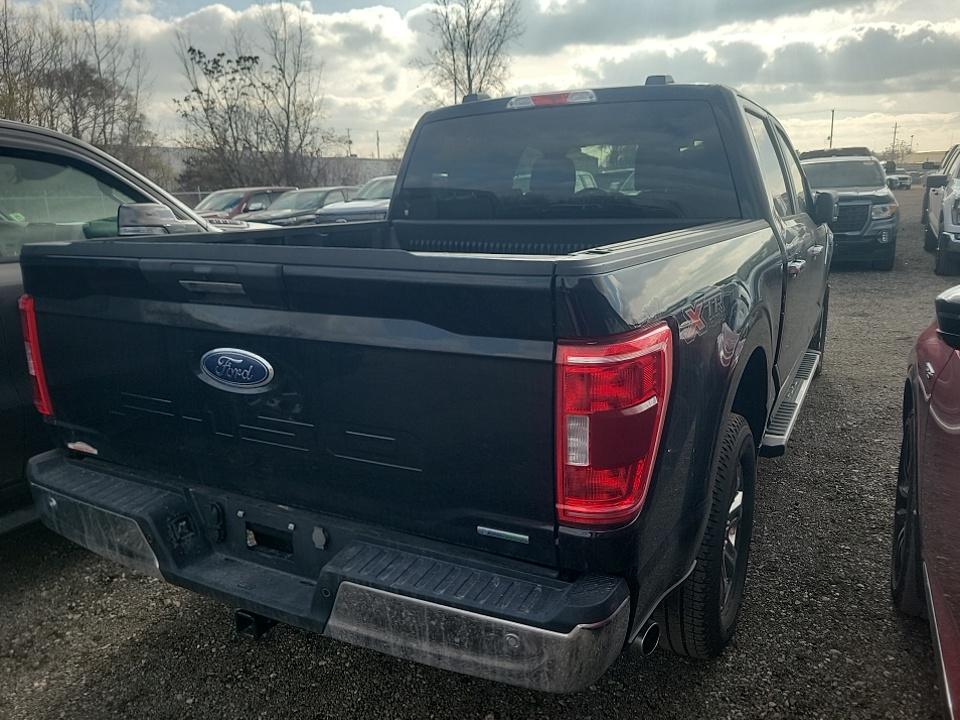 2023 Ford F-150 XLT AWD