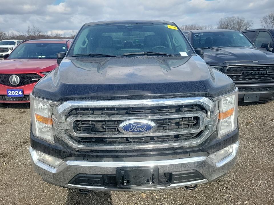 2023 Ford F-150 XLT AWD