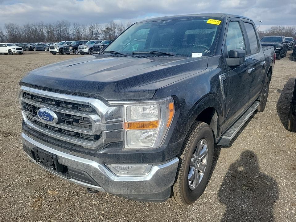 2023 Ford F-150 XLT AWD