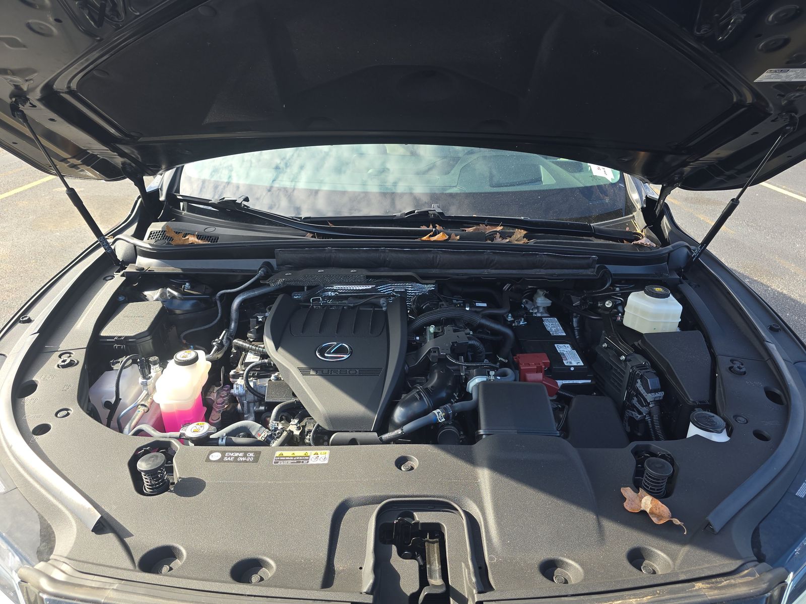 2024 Lexus RX RX 350 Premium Plus FWD