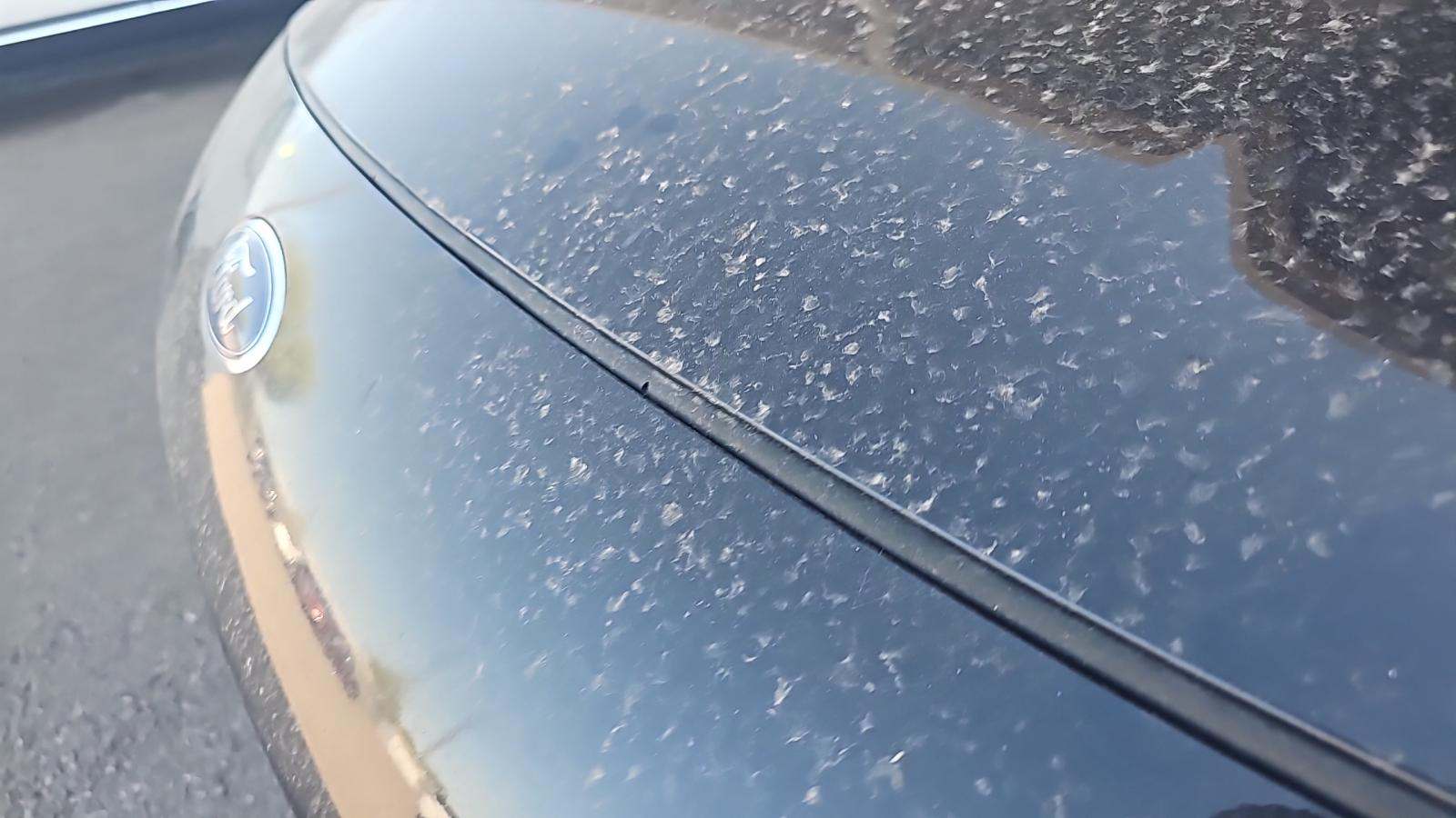 2020 Ford Escape SEL AWD