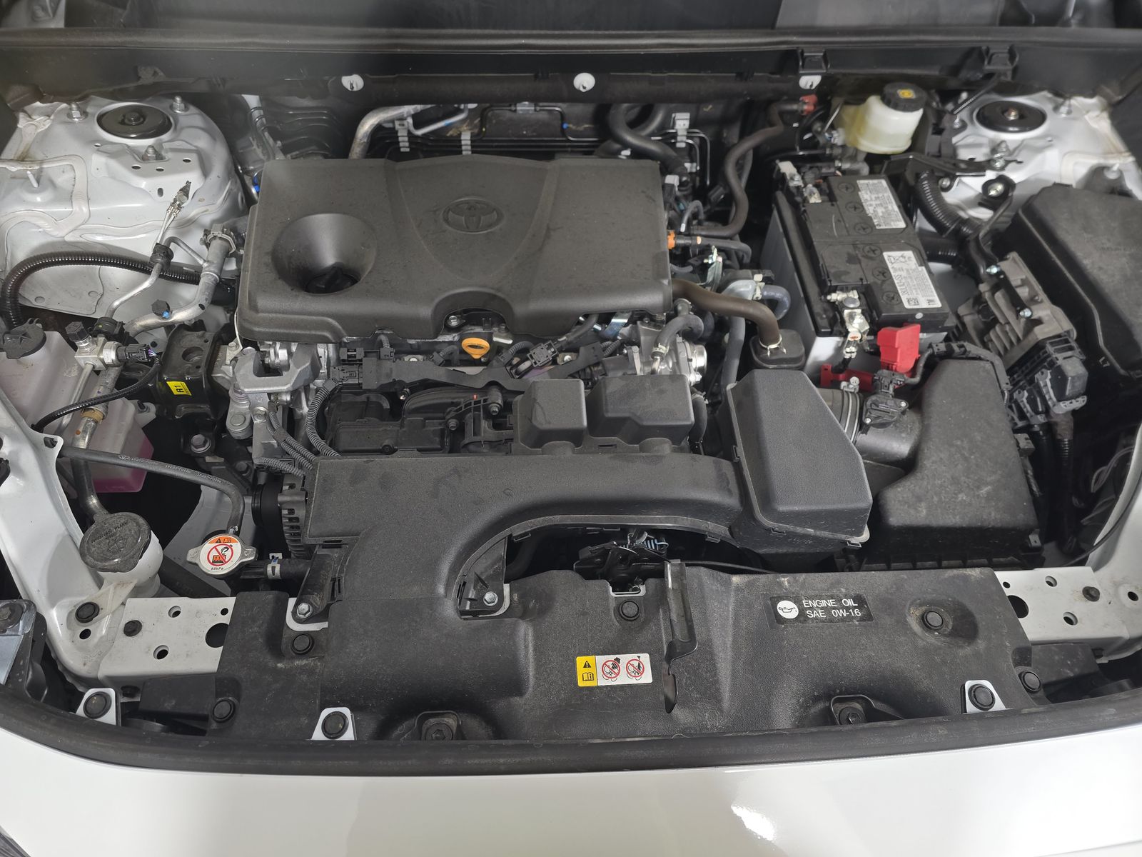 2025 Toyota RAV4 XLE FWD